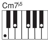 CASIO CTK-496 - NOTE - 9