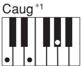 CASIO CTK-496 - NOTE - 4