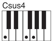 CASIO CTK-496 - NOTE - 5