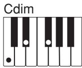 CASIO CTK-496 - NOTE - 3