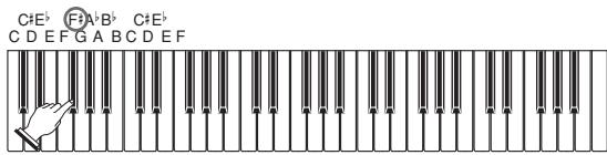 CASIO CTK-496 - Looking Up a Chord Using the Chord Book - 4