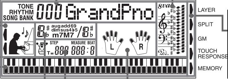CASIO CTK-573 - About the display - 1