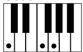 CASIO CTK-573 - NOTE - 5