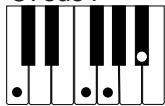 CASIO CTK-573 - NOTE - 11