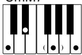 CASIO CTK-573 - NOTE - 14