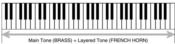 CASIO CTK-573 - LAYER - 1