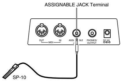 CASIO CTK-573 - Assignable jack Terminal - 1