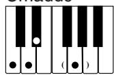 CASIO CTK-573 - NOTE - 13