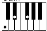 CASIO CTK-573 - NOTE - 3