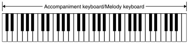 CASIO CTK-573 - FULL RANGE CHORD Accompaniment Keyboard and Melody Keyboard - 1
