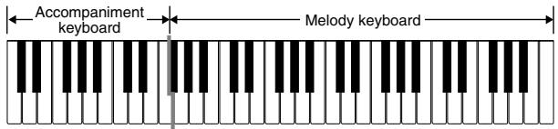CASIO CTK-573 - FINGERED Accompaniment Keyboard and Melody Keyboard - 1