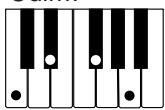 CASIO CTK-573 - NOTE - 15