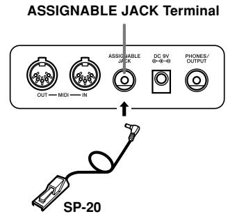 CASIO CTK-591 - Assignable jack Terminal - 1