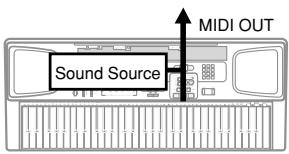 CASIO CTK-591 - LOCAL CONTROL (Default: On) - 3