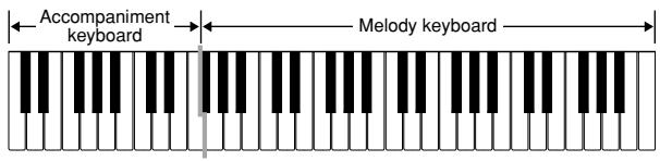 CASIO CTK-591 - FINGERED - 1
