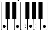 CASIO CTK-591 - NOTE - 8
