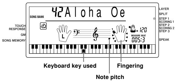 CASIO CTK-591 - To play the keyboard - 5