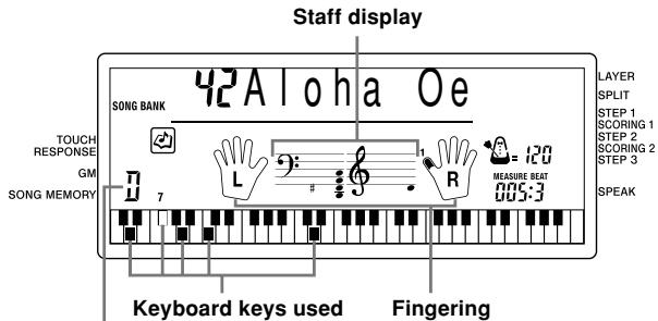 CASIO CTK-591 - Musical Information System - 1