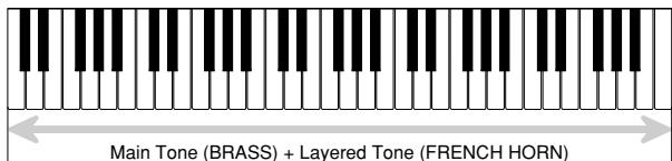 CASIO CTK-591 - Press the LAYER button again to unlayer the tones and return the keyboard to normal. - 1