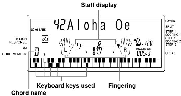 CASIO CTK-591 - NOTE - 1