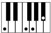 CASIO CTK-591 - NOTE - 11