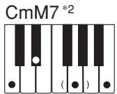 CASIO CTK-700 - NOTE - 14
