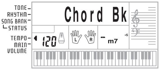 CASIO CTK-700 - Looking Up a Chord Using the Chord Book - 3