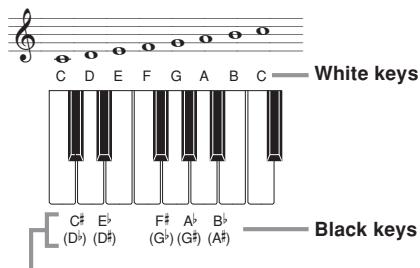 CASIO CTK-700 - Chord Names - 1