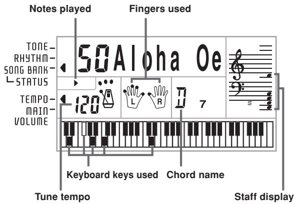 CASIO CTK-700 - [Playback Display] - 1