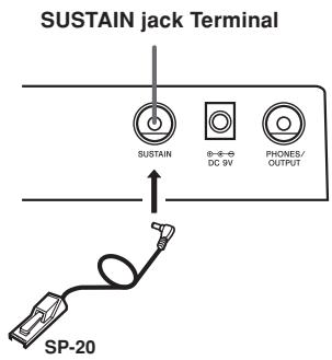 CASIO CTK-700 - Sustain jack Terminal - 1
