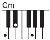 CASIO CTK-700 - NOTE - 2