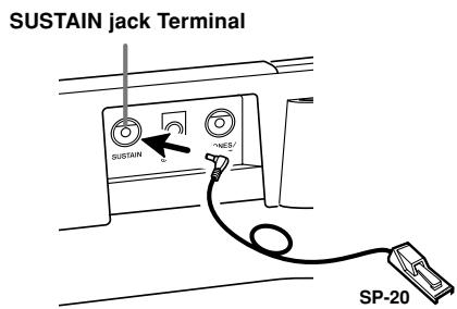 CASIO CTK-710 - Sustain jack Terminal - 1
