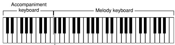 CASIO CTK-710 - CASIO CHORD Accompaniment Keyboard and Melody Keyboard - 1