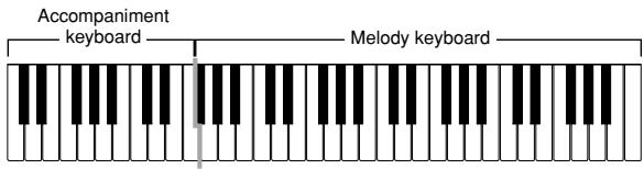 CASIO CTK-710 - FINGERED Accompaniment Keyboard and Melody Keyboard - 1