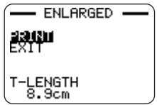CASIO CW-L300UG - Important! - 1