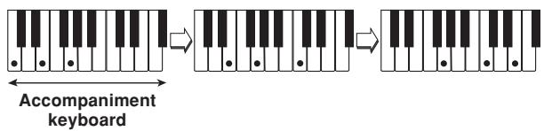 CASIO LK-100 - NOTE - 1