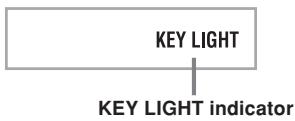 CASIO LK-100 - Turning Off Key Lighting - 1