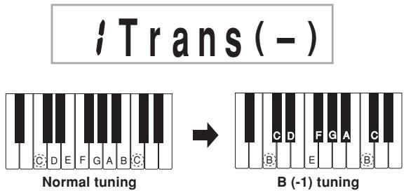 CASIO LK-100 - Trans - 1