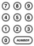 CASIO LK-42 - To change tones - 4