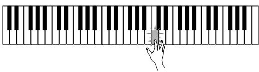 CASIO LK-42 - Press the STEP 3 button. - 3
