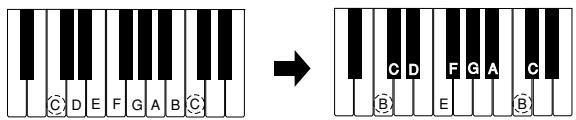 CASIO LK-42 - To change the key of the keyboard - 5