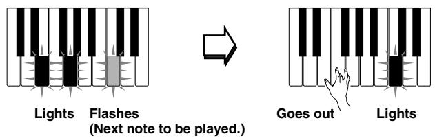 CASIO LK-42 - How the Three Step Lesson System operates in Steps 1 through 3 - 2