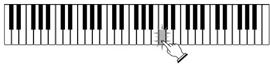 CASIO LK-42 - Press the STEP 2 button. - 3