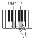 CASIO LK-93TV - Series of Same Pitch Notes - 5