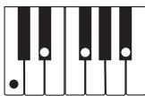CASIO LK-93TV - NOTE - 9