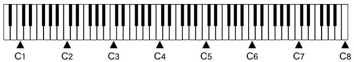 CASIO PL-40R - NOTE. - 2