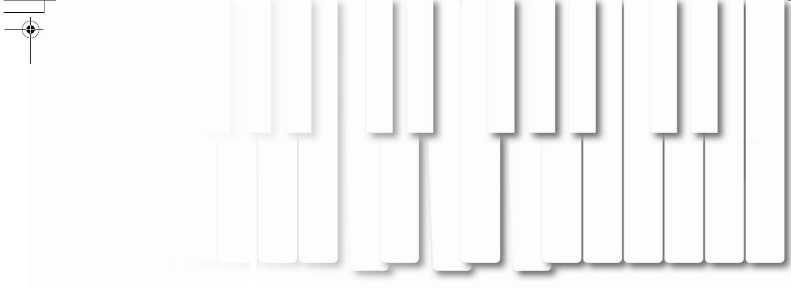 CASIO PL-40R - Accessories and Options - 2