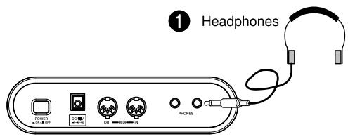 CASIO PL-40R - Connections - 1