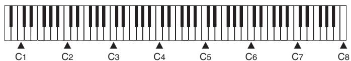CASIO PS-20 - NOTE - 2