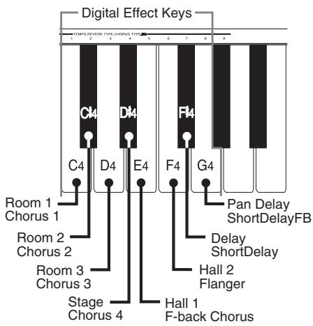 CASIO PS-20 - Keys Used for Configuring Digital Effect Settings - 1